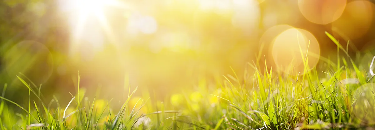 Jak wygląda pierwszy dzień wiosny?